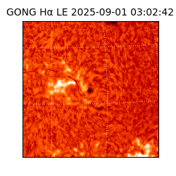 gong - 2025-09-01T03:02:42