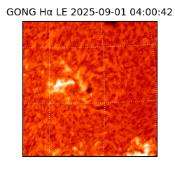 gong - 2025-09-01T04:00:42