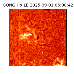 gong - 2025-09-01T06:00:42