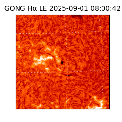 gong - 2025-09-01T08:00:42