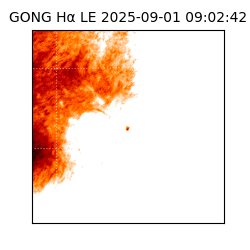 gong - 2025-09-01T09:02:42