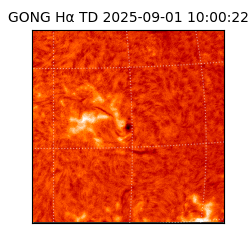 gong - 2025-09-01T10:00:22