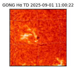 gong - 2025-09-01T11:00:22