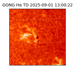 gong - 2025-09-01T13:00:22