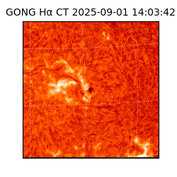 gong - 2025-09-01T14:03:42