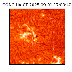 gong - 2025-09-01T17:00:42