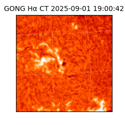 gong - 2025-09-01T19:00:42