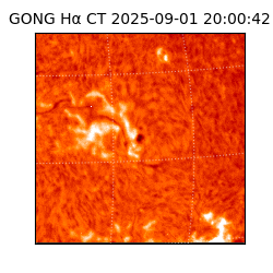 gong - 2025-09-01T20:00:42