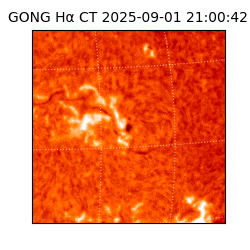 gong - 2025-09-01T21:00:42