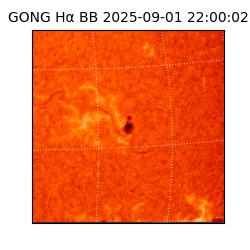 gong - 2025-09-01T22:00:02