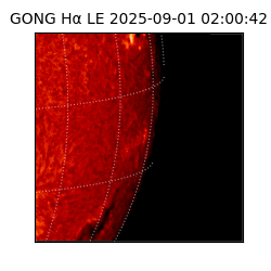 gong - 2025-09-01T02:00:42
