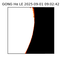 gong - 2025-09-01T09:02:42