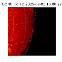 gong - 2025-09-01T10:00:22
