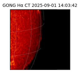 gong - 2025-09-01T14:03:42
