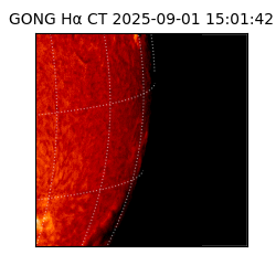 gong - 2025-09-01T15:01:42