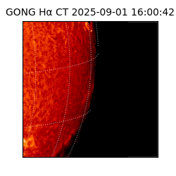 gong - 2025-09-01T16:00:42