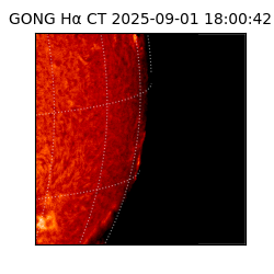 gong - 2025-09-01T18:00:42