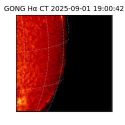 gong - 2025-09-01T19:00:42