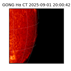 gong - 2025-09-01T20:00:42