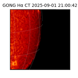 gong - 2025-09-01T21:00:42