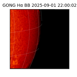 gong - 2025-09-01T22:00:02