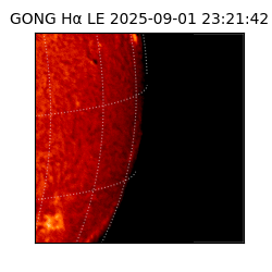 gong - 2025-09-01T23:21:42