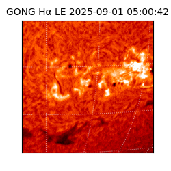 gong - 2025-09-01T05:00:42