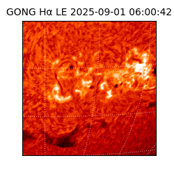 gong - 2025-09-01T06:00:42