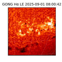 gong - 2025-09-01T08:00:42