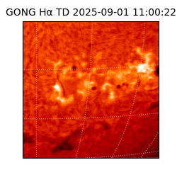 gong - 2025-09-01T11:00:22