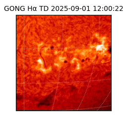 gong - 2025-09-01T12:00:22