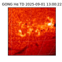 gong - 2025-09-01T13:00:22