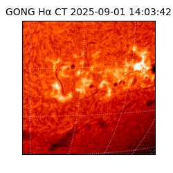 gong - 2025-09-01T14:03:42