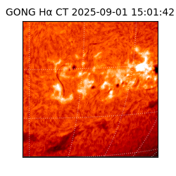 gong - 2025-09-01T15:01:42