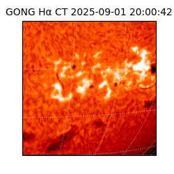 gong - 2025-09-01T20:00:42