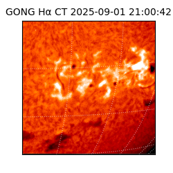 gong - 2025-09-01T21:00:42