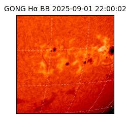 gong - 2025-09-01T22:00:02