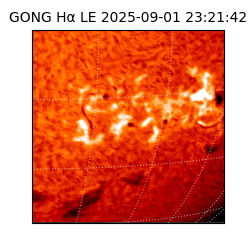 gong - 2025-09-01T23:21:42