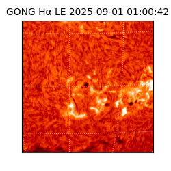 gong - 2025-09-01T01:00:42