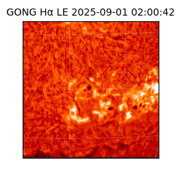 gong - 2025-09-01T02:00:42