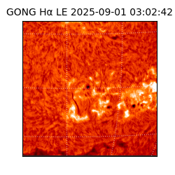 gong - 2025-09-01T03:02:42