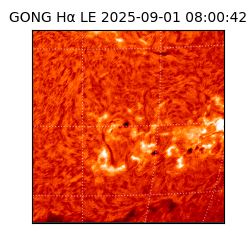 gong - 2025-09-01T08:00:42