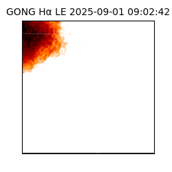 gong - 2025-09-01T09:02:42