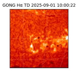 gong - 2025-09-01T10:00:22