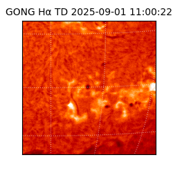 gong - 2025-09-01T11:00:22