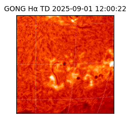 gong - 2025-09-01T12:00:22