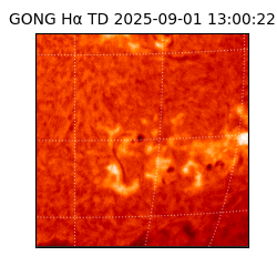 gong - 2025-09-01T13:00:22