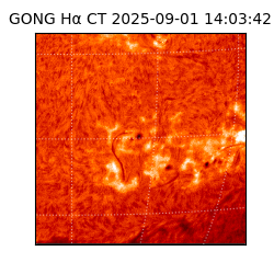 gong - 2025-09-01T14:03:42