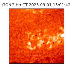gong - 2025-09-01T15:01:42
