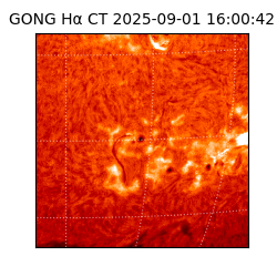 gong - 2025-09-01T16:00:42